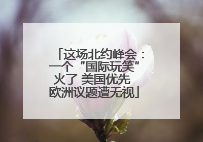 这场北约峰会：一个“国际玩笑”火了 美国优先 欧洲议题遭无视